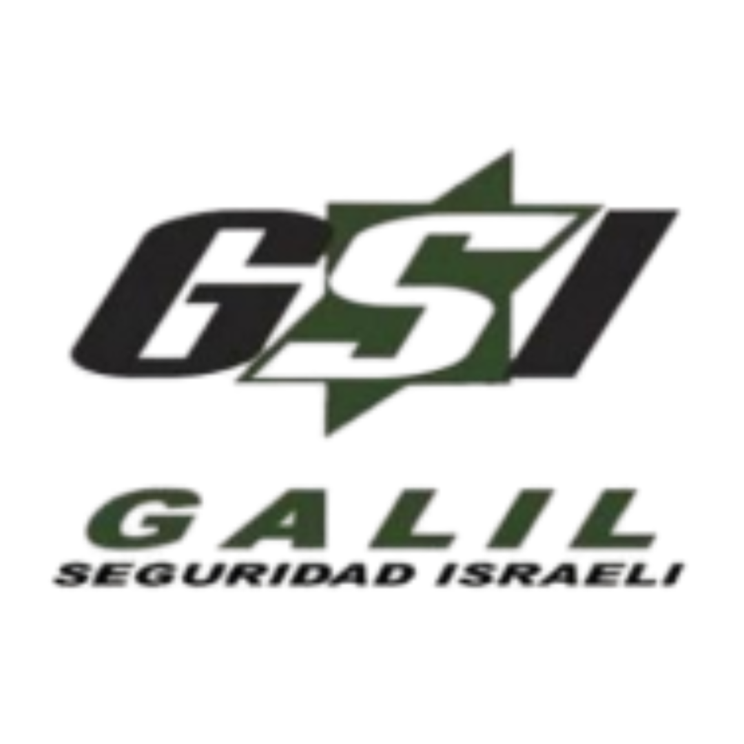GSI Logo