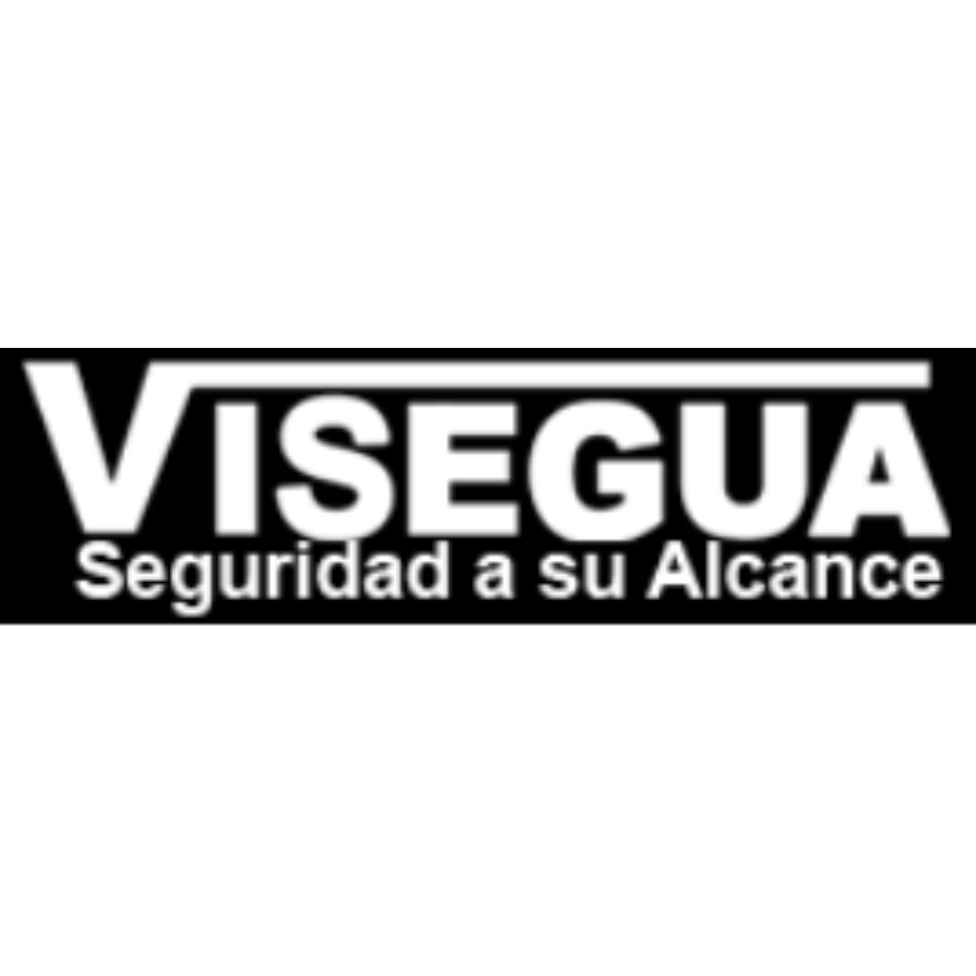 VISEGUA Logo